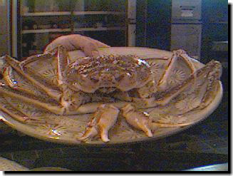 ����I�J�j���I